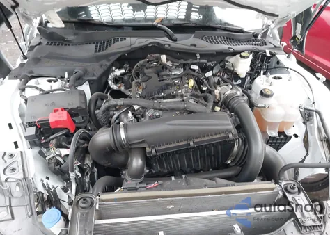 2024 Ford Mustang Ecoboost Fastback from USA, damaged, VIN 1FA6P8TH3R5107541